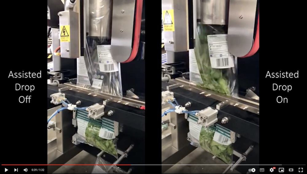 GIC Leaf Salad Assisted Drop Vertical Form Fill & Seal Packaging Machine