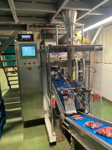 GIC Vertical form fill and seal packing onions